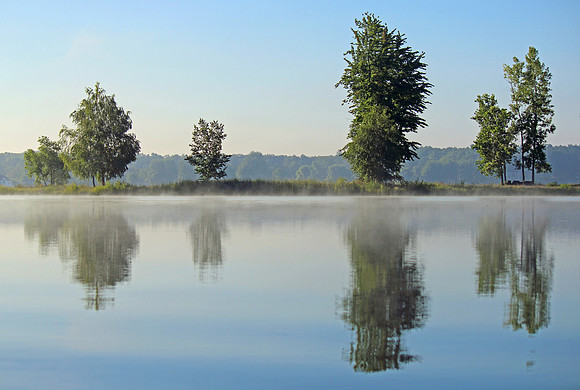 Reflections of Summer