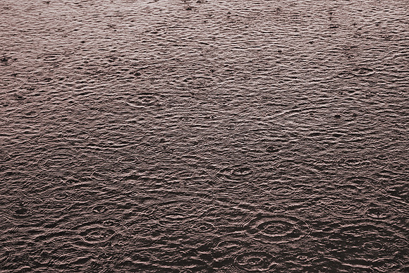 Summer Rain