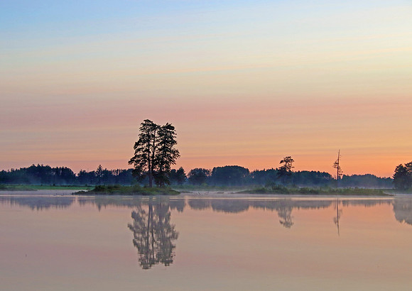 Early Sun on the pond