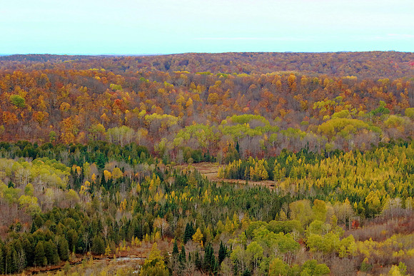 Autumns paintbrush