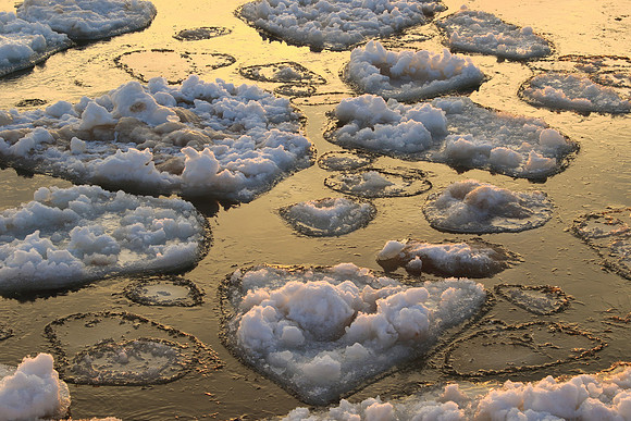 Floating Ice