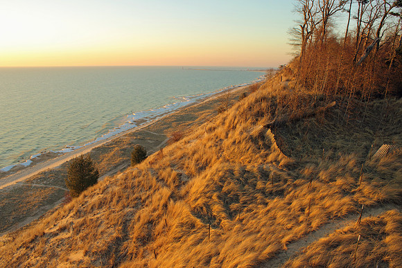 Golden Muskegon