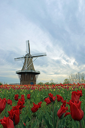 Windmill Island Gardens