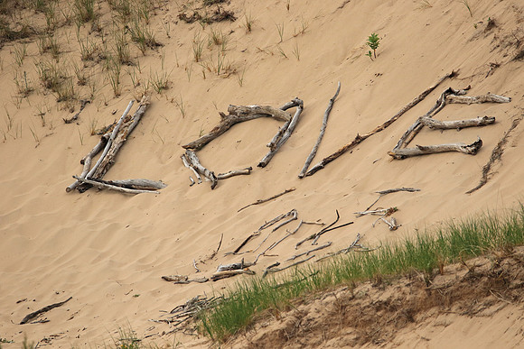 Michigan Love