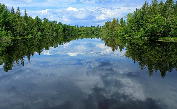 Reflections on the Tehquamenon river