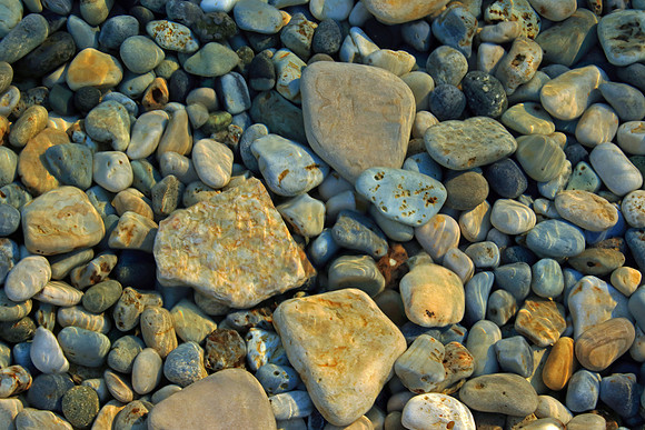 Lake Michigan rock hound