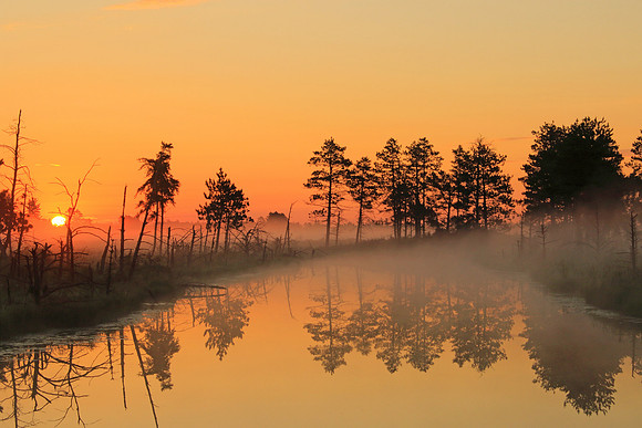 Sunrise at Seney
