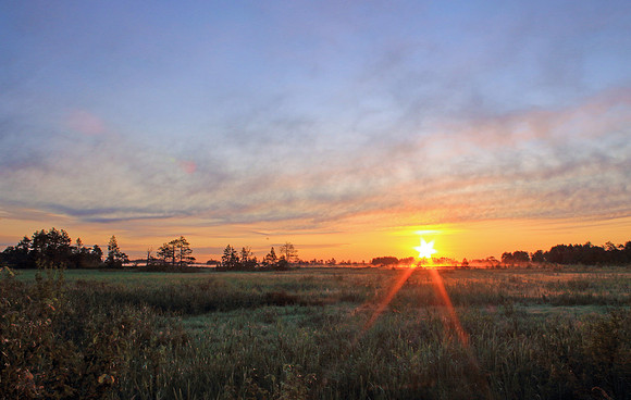 Sunrise at a marsh