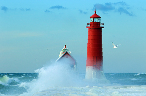 One Seagull