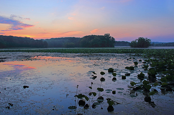 Pastel sky