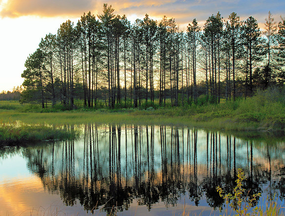 Reflections of Seney.
