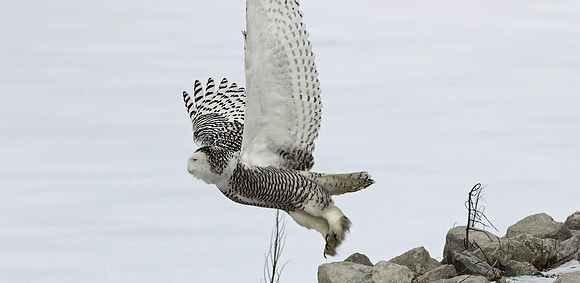Take off!