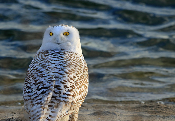 Who are you looking at!