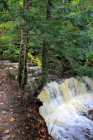 Mosquito Falls