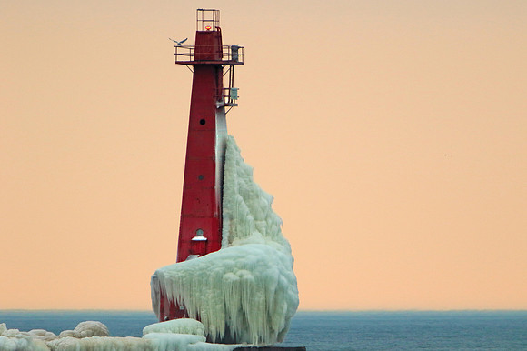 Seagull on a lighthouse