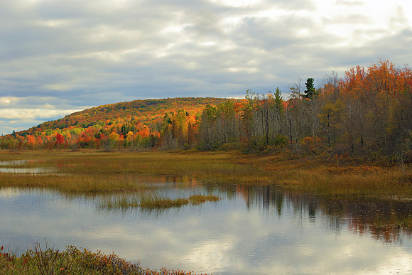 Autumn Marsh