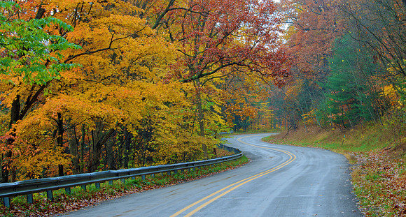 Beautiful Curves II
