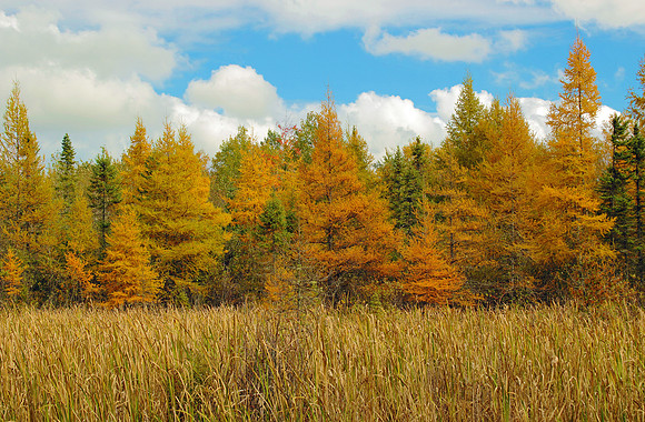 Autumn returns to the Upper Penninsula.